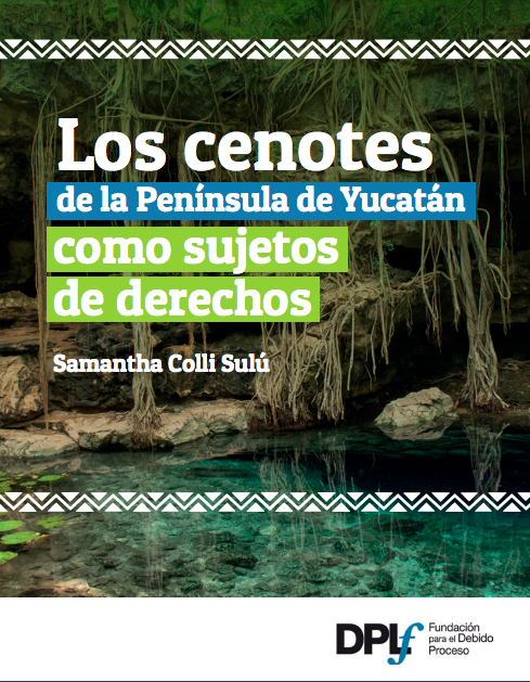 Los cenotes de la Península de Yucatán como sujetos de derechos (Informe) – Fundación para el Debido Proceso