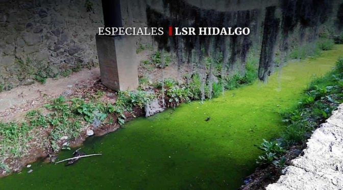 Hidalgo-Prometieron río limpio para atraer turismo en Huasca; solo hay moho y basura (La silla rota Hidalgo)
