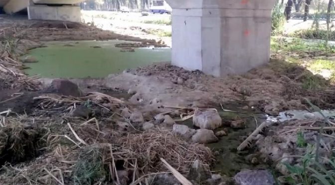 CDMX-Denuncian daños en humedal de Xochimilco (El Norte)