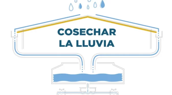México-Cuáles son los beneficios y cómo cosechar el agua de lluvia (infobae)