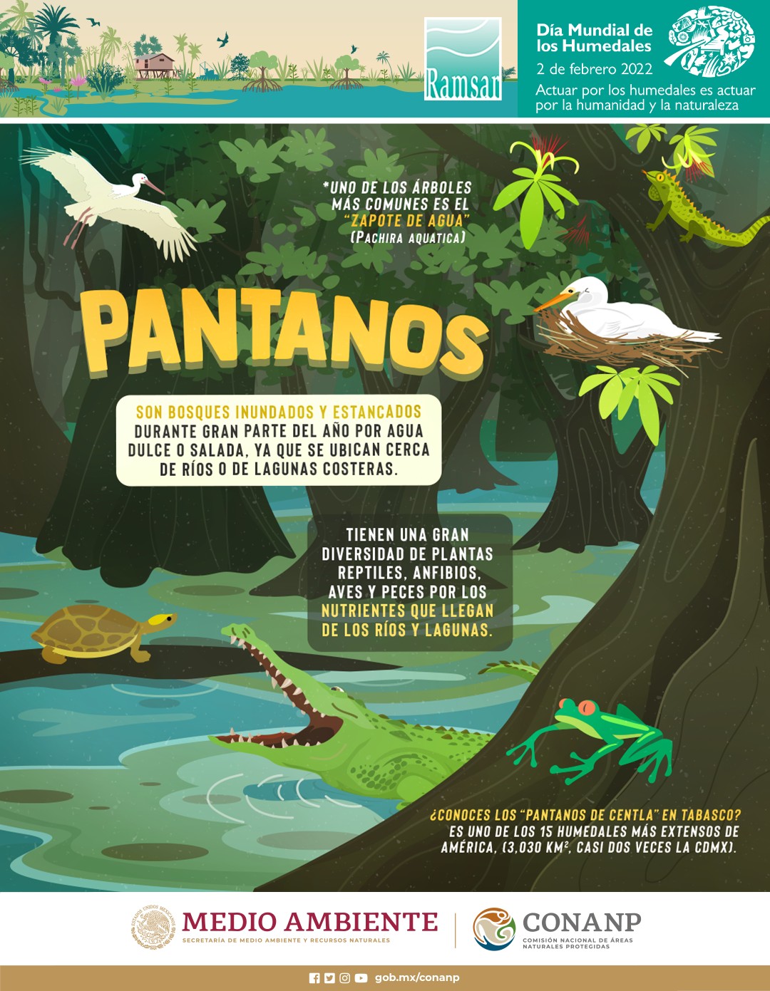 Pantanos (Infografía)- CONANP
