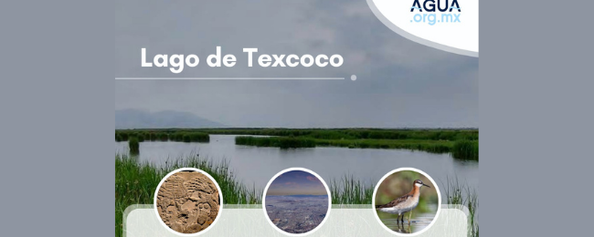 Área de Protección de Recursos Naturales Lago de Texcoco