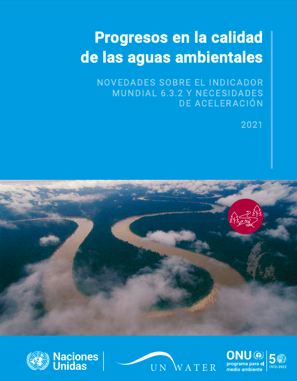 Progresos en la Calidad de las Aguas Ambientales (Reporte)-Naciones Unidas