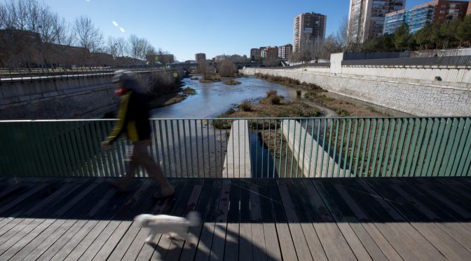 Mundo-El río Manzanares es el más contaminado por fármacos de Europa (El País)