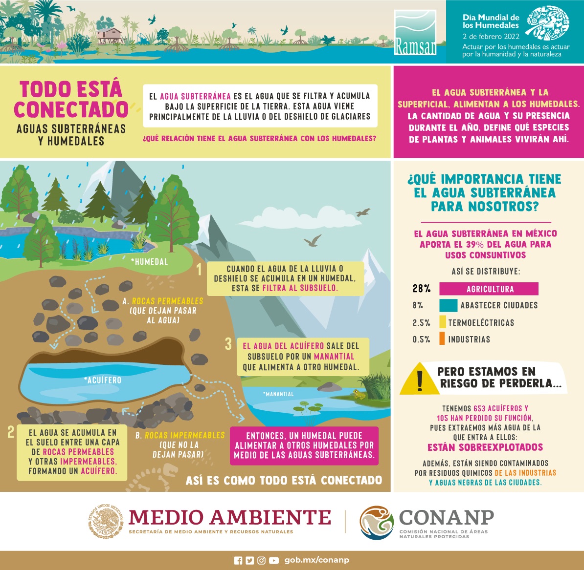 Todo esta conectado: Aguas Subterráneas y Humedales (Infografía)- CONANP