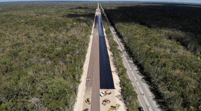 México-El gobierno no sabe cuánto daño ambiental causará el Tren Maya ni cuánto invertirá para mitigarlo (Animal Político)