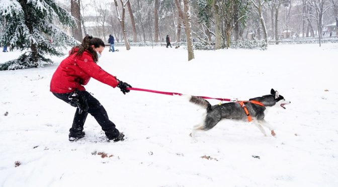 Mundo-Suministro de agua de California, en peligro por falta de lluvias y nevadas en 2022 (Milenio)