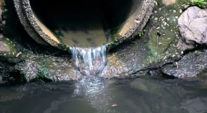 Quintana Roo-Atienden problemas de aguas residuales (Luces del Siglo)