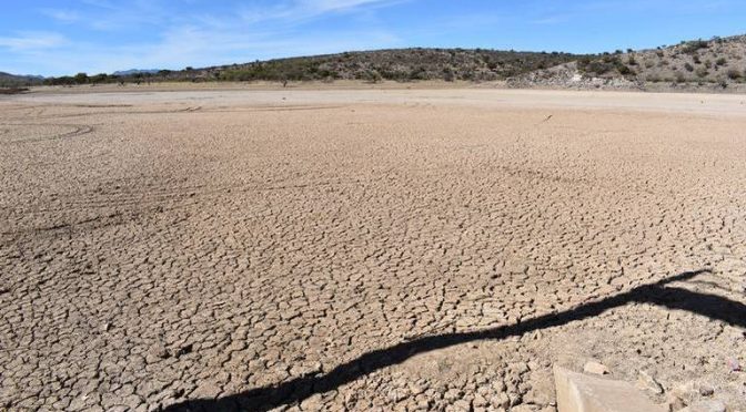 Chihuahua-Prevén año catastrófico en la siembra debido a la falta de agua (El Heraldo de Chihuahua)