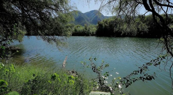 Durango-Agua Saludable debe solucionar sobreexplotación de acuíferos, pide coalición (Milenio)