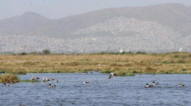 Texcoco-Piden rencauzar ríos para protección del Lago de Texcoco (La Jornada)