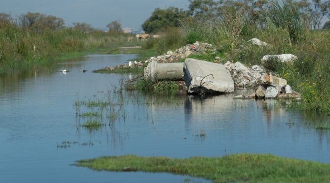México-Semarnat actualiza norma de contaminantes en cuerpos de agua (La Jornada)