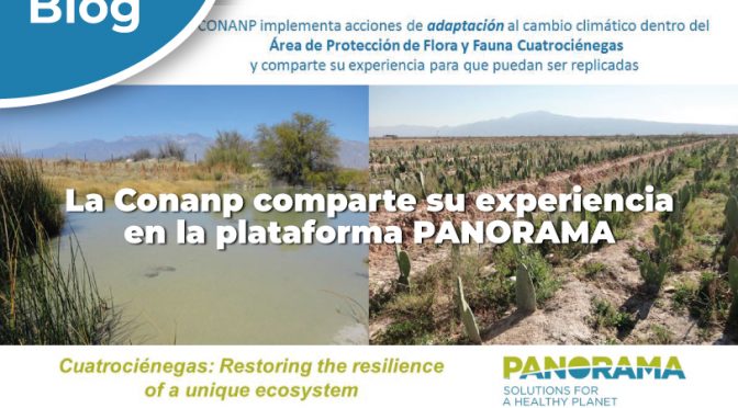 México – La Conanp comparte su experiencia en la plataforma PANORAMA (CONANP)