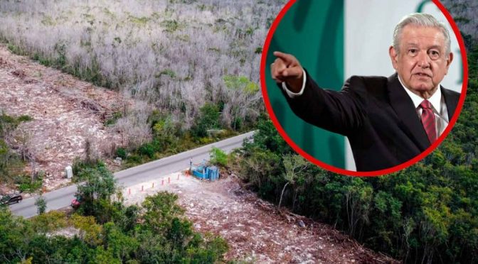 Quintana Roo-Rechaza López Obrador que Tren Maya afecta cenotes, ríos subterráneos (Excelsior)