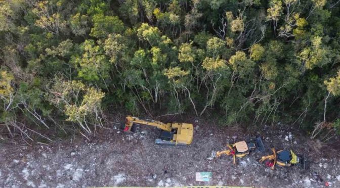 Quintana Roo-Presentan nuevo amparo contra Tramo 5 del Tren Maya por carecer de Manifestación de Impacto Ambiental (Excelsior)