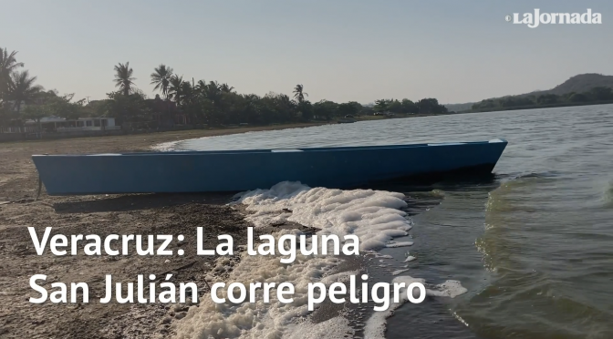Veracruz-En peligro, gran laguna cercana al puerto de Veracruz (La Jornada)