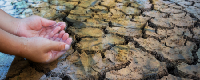 Durango-Presas en La Laguna bajan niveles de agua y representa riesgo para el uso agrícola (Milenio)