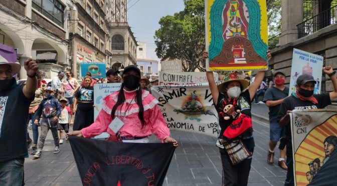 México-Caravana del agua: revolución de conciencias desde los pueblos indígenas (Pie de Página)