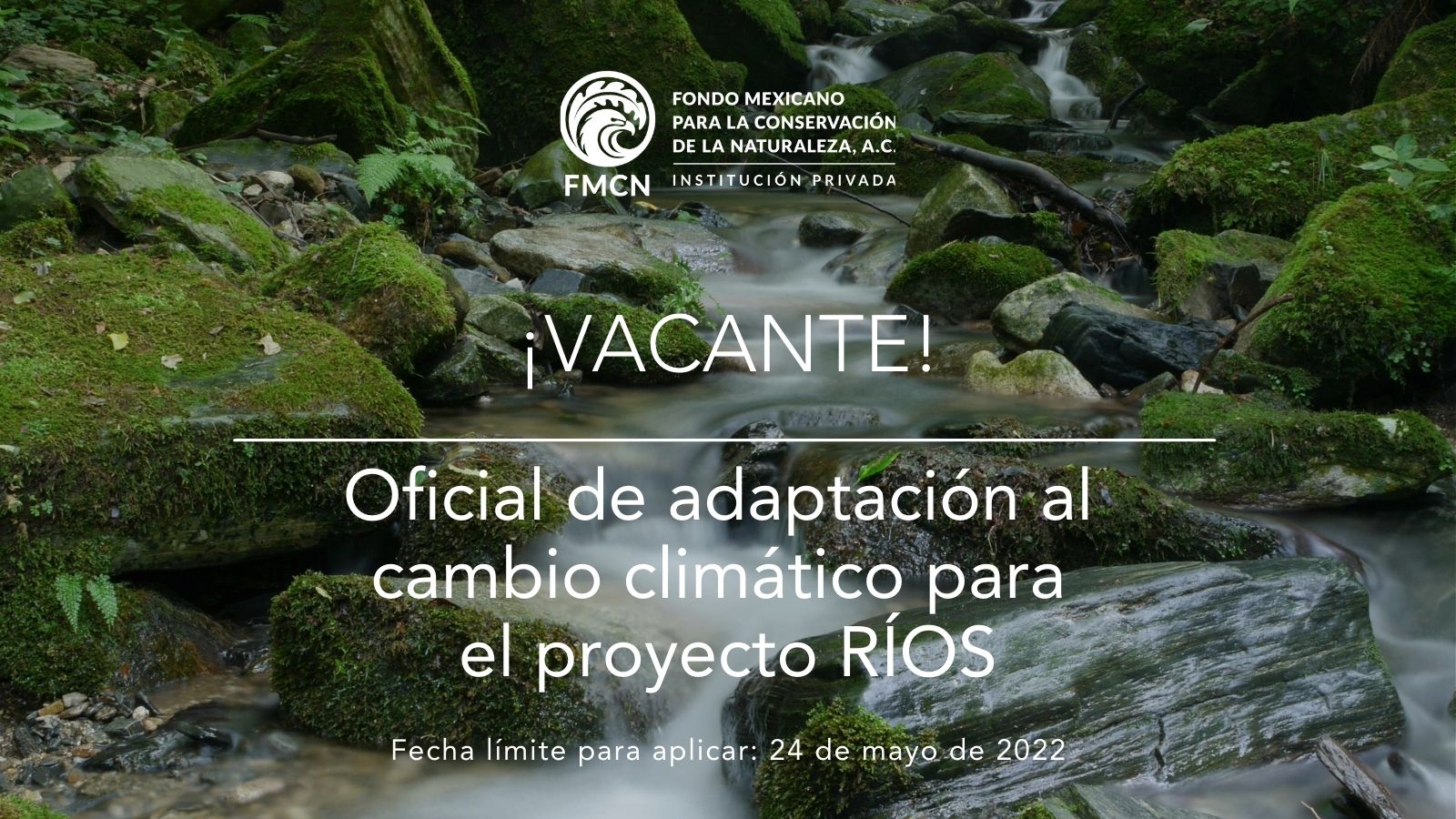 Vacante: Oficial de adaptación al cambio climático para el proyecto RÍOS (FMCN)