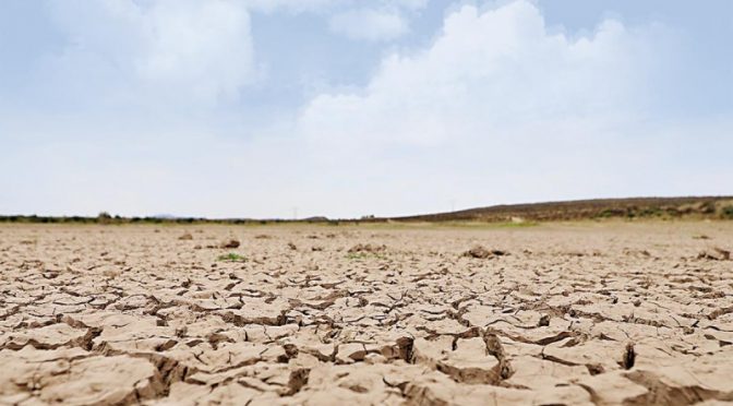 México-Aumentan la sequía e incendios… y no llueve; presas pierden 1.8 millones de m3 de agua en una semana (Excelsior)
