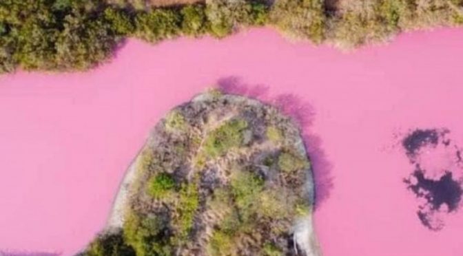 Oaxaca – Laguna se tiñe de rosa en costa de Oaxaca (Excelsior)