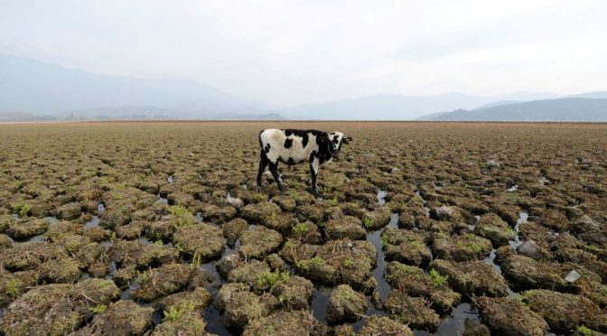 Mundo-Chile hace frente a su “sequía estructural” con un plan de racionalización de agua en Santiago (El País)