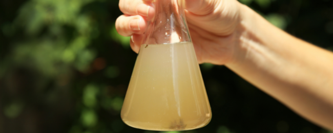 CDMX-Agua de fuentes públicas no se puede beber, contiene fungicidas y cloro: Sobse (La Jornada)