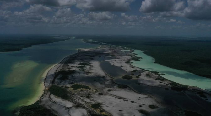 Quintana Roo-Microbialitos de Bacalar: organismos milenarios que buscan sobrevivir al daño ambiental (Pie de Página)
