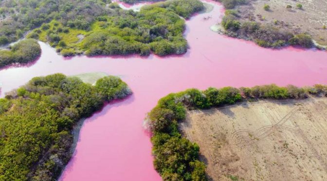 Oaxaca – Agua de una laguna en la costa de Oaxaca se tiñe de color rosa (ADN 40)