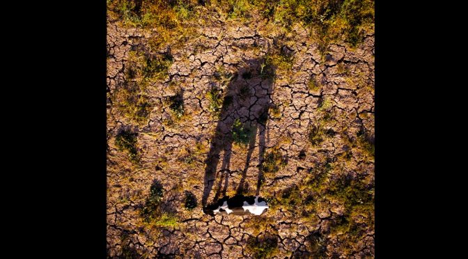 México-Se desperdicia por fugas entre 20 y 60% de agua potable en varios estados (La Jornada)