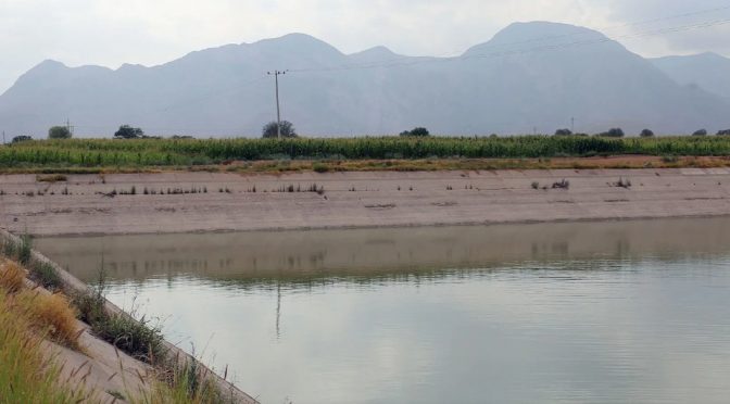 Coahuila-Rediseño de punto de extracción de proyecto Agua Saludable avanza a un 53 por ciento (Milenio)