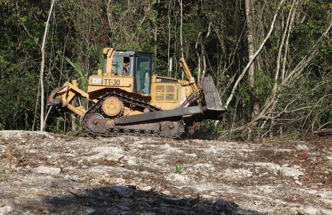 Quintana Roo – A pesar de daños ‘severos’ a flora y fauna, y riesgo de hundimiento del suelo, el Tramo 5 del Tren Maya es ‘viable’, según la MIA (Animal Político)