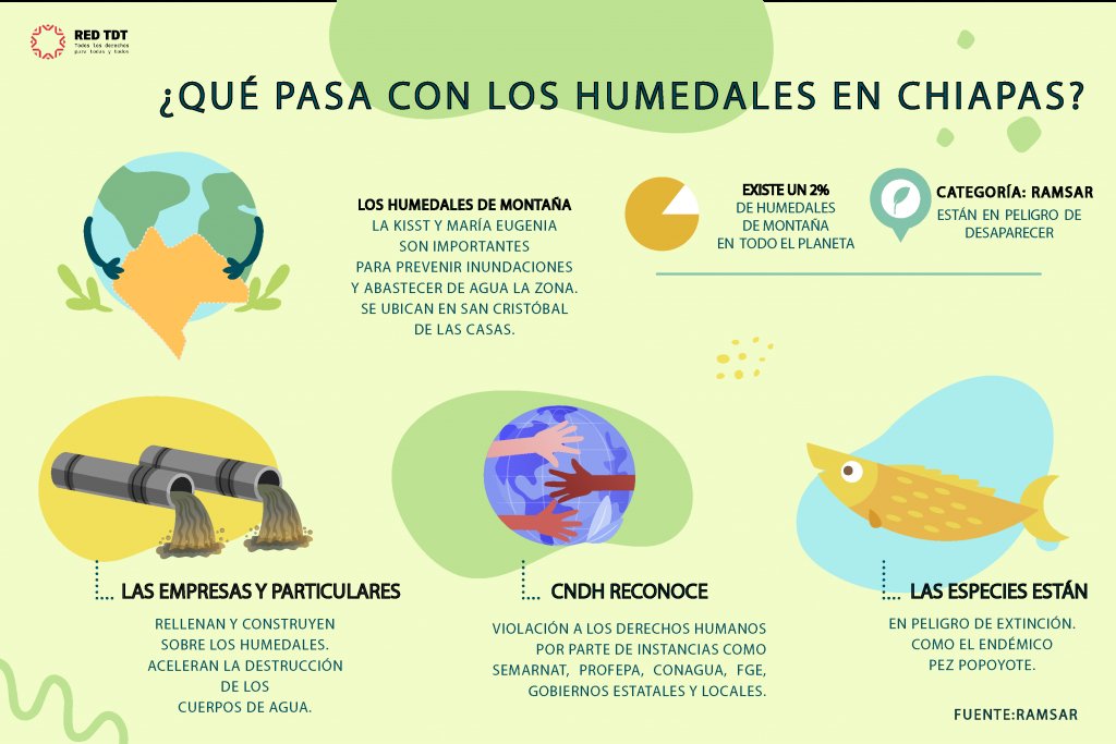 ¿Qué pasa con los humedales en Chiapas? (Infografía) – Red TDT