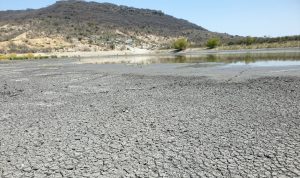 Coahuila – Casa Madero: un conflicto por el agua (no por la inseguridad) que refleja la escasez en el norte del país (Animal Político)
