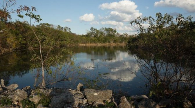 Yucatán – El valor del agua es menospreciado en Yucatán: investigador (La Jornada Maya)