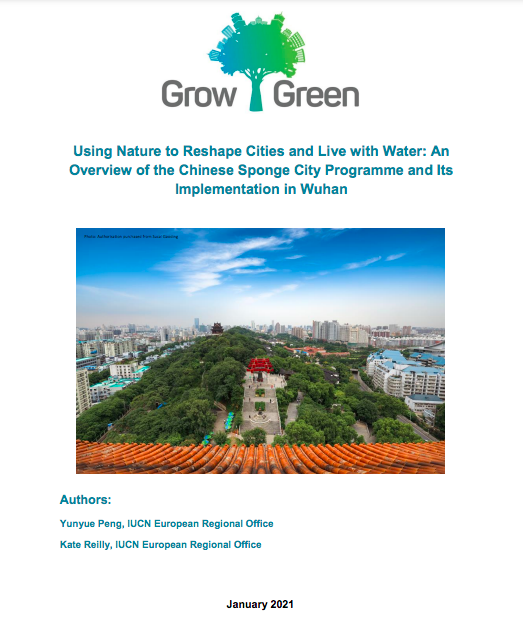 Using Nature to Reshape Cities and Live with Water: An Overview of the Chinese Sponge City Programme and Its Implementation in Wuhan (GrowGreen)