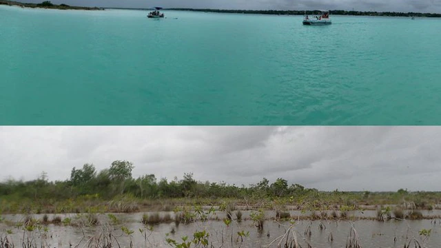Quintana Roo – Presidencia atribuye a proliferación de granjas industriales en la península de Yucatán cambios en la laguna de los 7 colores de Bacalar (SDP Noticias)