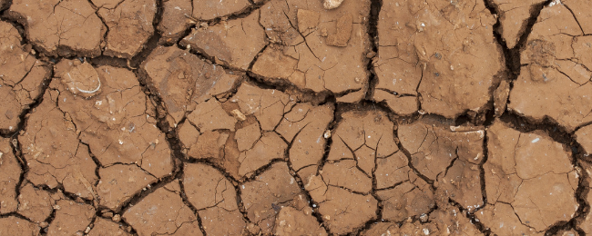 Internacional-La sequía que no cesa: las restricciones de agua afectan a más de 9 millones de personas (Los 40)