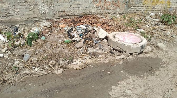 Michoacán – Vecinos de Jiquilpan denuncian contaminación de agua potable por residuos industriales (La Voz de Michoacán)