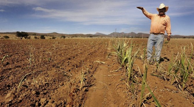 Chihuahua – Entrega EU sólo 20% de agua a Valle de Juárez (La Jornada)