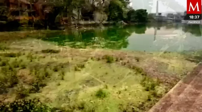 Tabasco – Denuncian ecocidio en Laguna de las Ilusiones de Villahermosa, Tabasco (Milenio)
