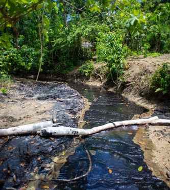 Veracruz – Fuga de hidrocarburos deja poblado de Papantla sin agua, árboles y pesca (La Jornada)