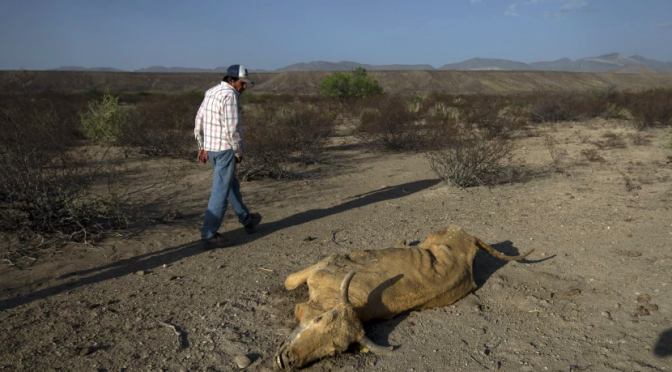 México – Comisión del agua de México declara emergencia por sequía “severa o extrema” (The San Diego Union Tribune)