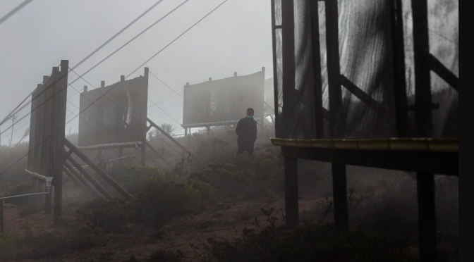 Chile – La apuesta de Chile por “cosechar agua” de niebla para combatir la mayor sequía de su historia (El País)