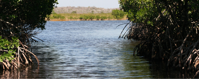 Veracruz – Denunció Conagua a particulares por la venta de agua de la laguna El Castillo (La Jornada)