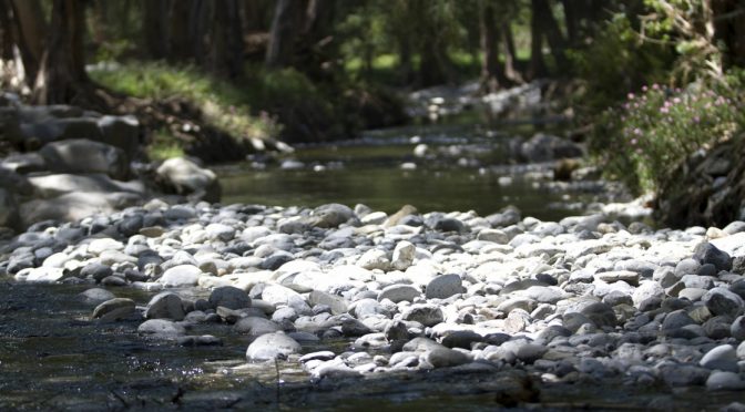 Nuevo León – Por usar agua de río sin permiso, suspenden operación de cantera en NL (La Jornada)