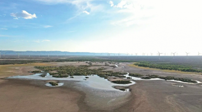 México – Coahuila, Morelos y Querétaro reportan los niveles más bajos de agua en sus presas (El Economista)