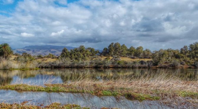 Mundo – Aguas salobres: definición y ejemplos (Ecología Verde)