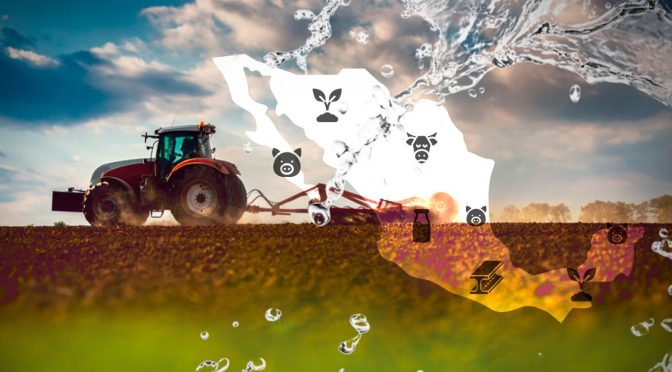 México – Sector agropecuario absorbe más agua que las industrias refresqueras y cerveceras (El CEO)