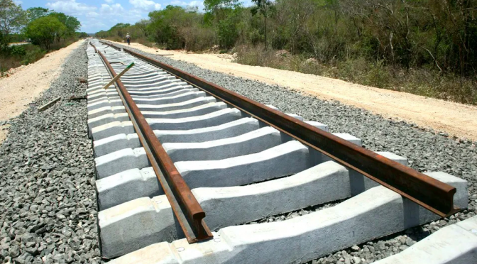 Yucatán – Conagua realizará estudios de cruce del Tren Maya con cuerpos de agua: Informe (Milenio)